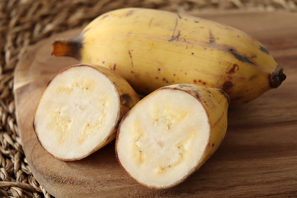 沖縄県産 アップルバナナ